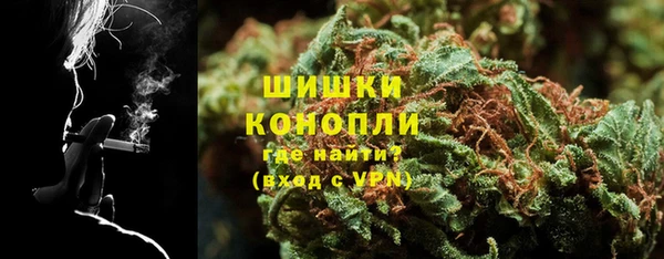 гидропоника Белокуриха