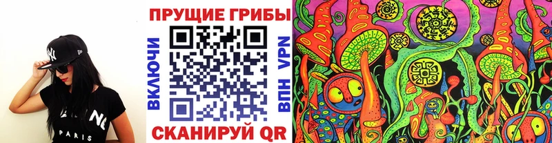 Галлюциногенные грибы Psilocybine cubensis Городовиковск