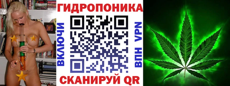 Бошки марихуана AK-47 купить закладку Городовиковск